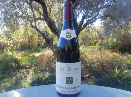 Domaine des Bernardins - Domaine des Bernardins - AOC Côtes du Rhône Rouge 2022 "les Balmes" - 6 bouteilles