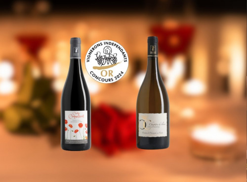 Domaine de la Chopinière du Roy - À deux c’est mieux - Coffret Duo vin de Loire Rouge et Blanc aromatique pour couple - 2 x 75 cl