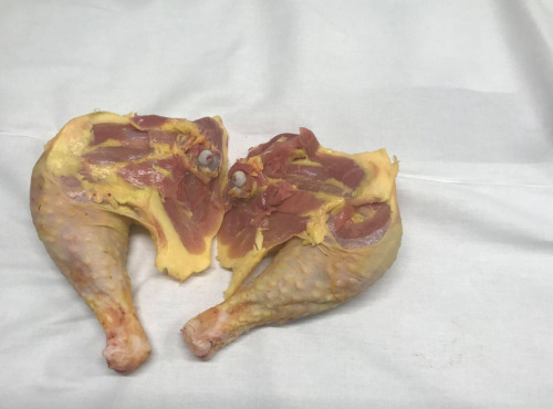 Des Poules et des Vignes à Bourgueil - 2 Cuisses De Chapon
