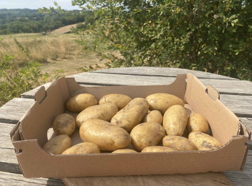 Ferme Sinsac - Pomme de terre nouvelle en sachet de 500 grs