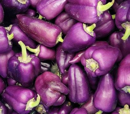 ChâteauFer - Poivrons doux - Paprika 1kg
