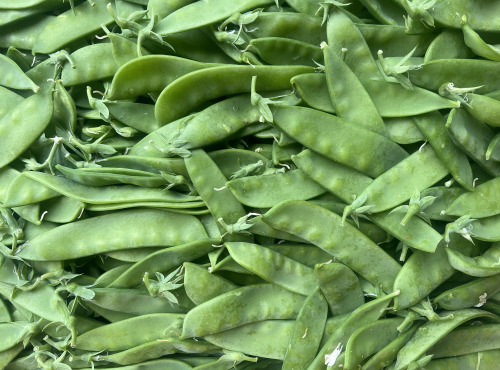 Domaine Reverchon - Pois gourmand 500gr