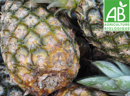 Mon Petit Producteur - Ananas Pain De Sucre Du Togo (la Pièce D'environ 1 Kg)
