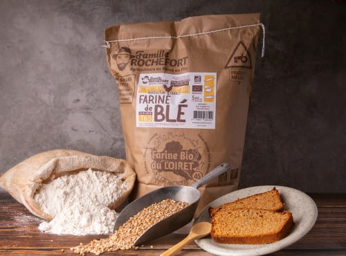 Famille Rochefort - Farine de blé bio T65 (blanche) 5 kg