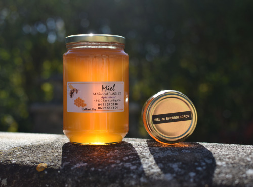 La Truite du Mézenc - Miel de rhododendron 1Kg