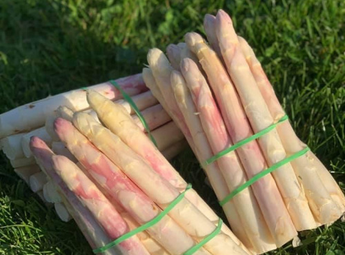 La Brouette d'Alexis - Asperges blanches - 1kg