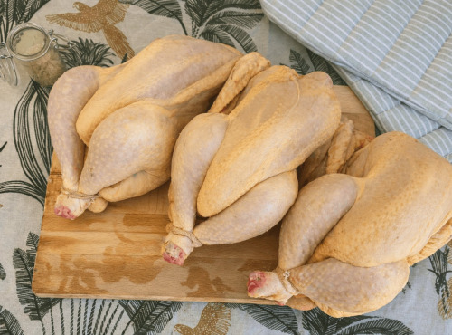 Ferme des Gravelines - Poulet entier fermier BIO 2kg-2,2kg – Lot de 3