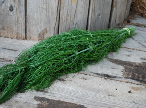 La Boite à Herbes - Fenouil Sauvage 100g