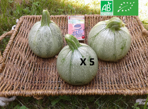 LES JARDINS DE KARINE - Courgette 'Ronde de Nice' - 5kg