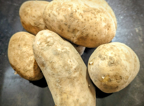 Ferme Joos - Pomme de terre Nazca - 10kg