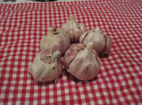 La Ferme De Jérôme - Ail Rose - Ail Rose en Vrac - 250g