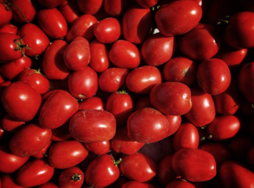 La Ferme d'Artaud - Tomates Italiennes 5kg