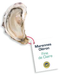 Les Huîtres Courdavault Alain & Fils - Huîtres Fines de Claire IGP Marennes-Oléron Calibre 3 – 2 Douzaines – Direct Producteur