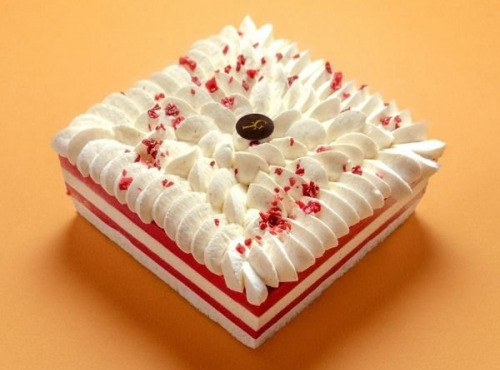 GT Designer Glacier - Vacherin Vanille Framboise