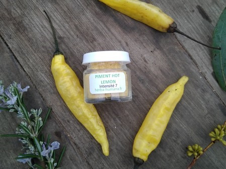 HERBA HUMANA - Piment Hot Lemon - 3g