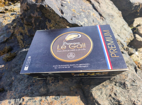Jean Luc Le Gall Huîtres et Coquillages - Huitres Creuses Premium N3 x 48 Pièces