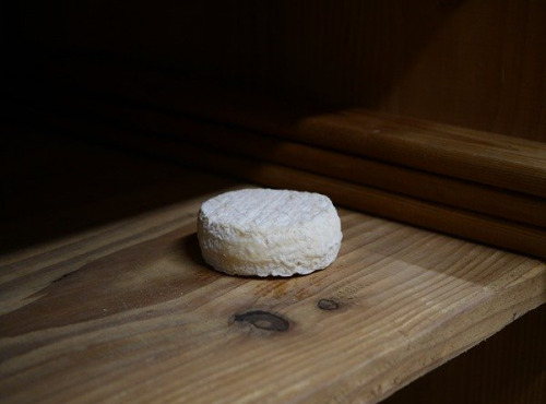 Alléosse Maitre Artisan Affineur Fromager - Cabri des Gors au lait cru - Mothais