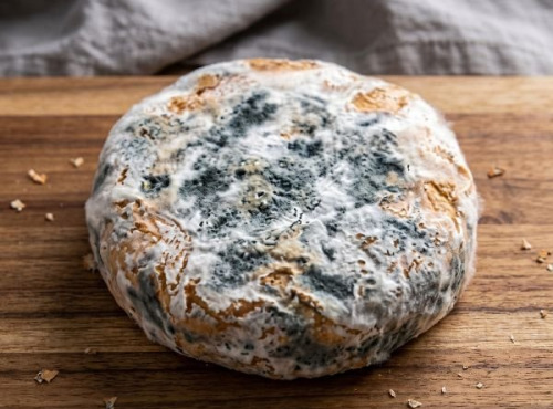 Ferme de l'Elanion - Palet Sec 50g