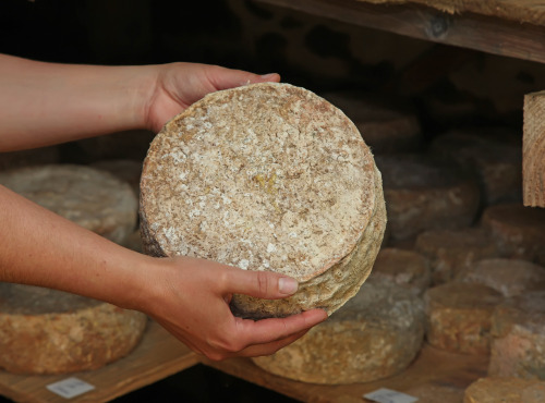Domaine du Catié - Tomme de la Montagne Noire au lait cru entier Bio