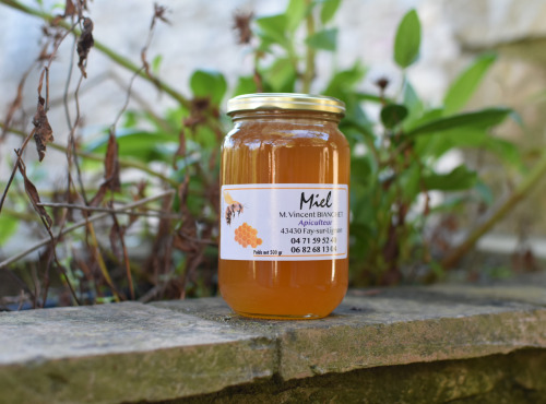La Truite du Mézenc - Miel de Montagne - 500g