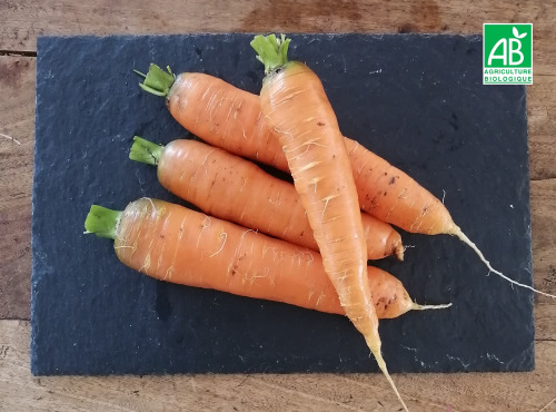 Ferme de Carcouet - Carottes Bio - 1 kg