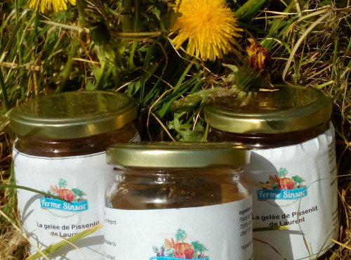 Ferme Sinsac - Miel de pissenlit