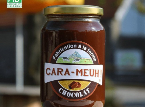 La Ferme des Cara-Meuh - Crème de caramel chocolat BIO – pot 420g