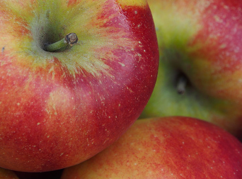 Mon Petit Producteur - Pomme Story Bio - 3kg