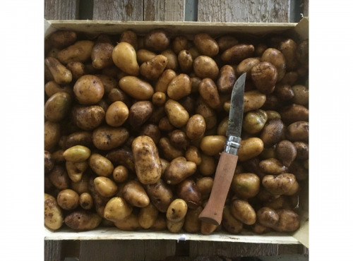 Nature et Saveurs - Ferme Aquaponique et Permacole Astérienne - Pomme de terre Grenaille - 1Kg