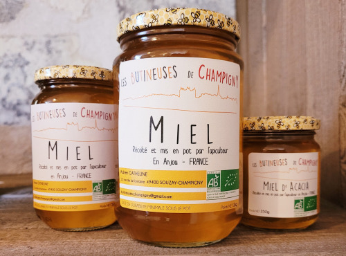 Les Butineuses de Champigny - Miel d'acacia bio - 1000g