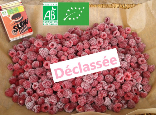 LES JARDINS DE KARINE - Framboises surgelées déclassées à cuire - 1kg