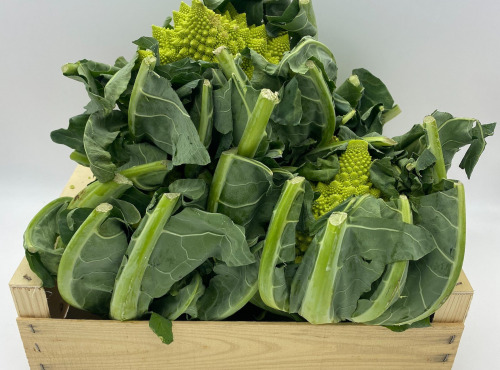 Le Panier du Producteur - Chou Romanesco