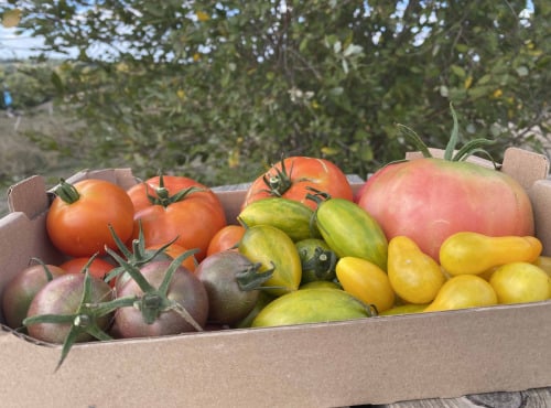Ferme Sinsac - panier repas fruits, légumes et plats préparés