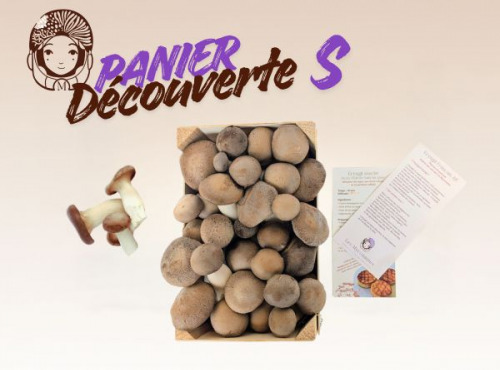 Les Myconautes - Panier Myconautes champignons bio - Taille S