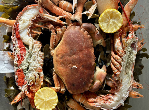 Le Termer - Plateau de fruits de mer 3