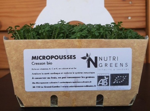 Ma Micropousse culinaire - Micropousses de cresson Bio 16 barquettes