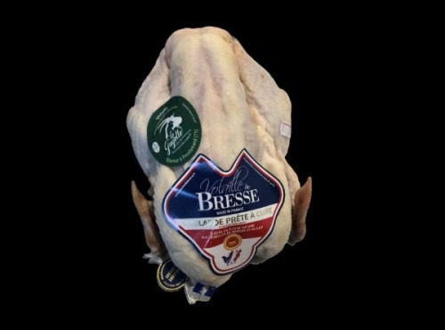 La Guyotte Ferme Bressane - La Poularde de Bresse AOP effilée par 6
