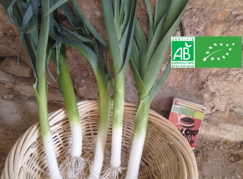 LES JARDINS DE KARINE - Poireaux nouveaux fins - 1 botte de 5