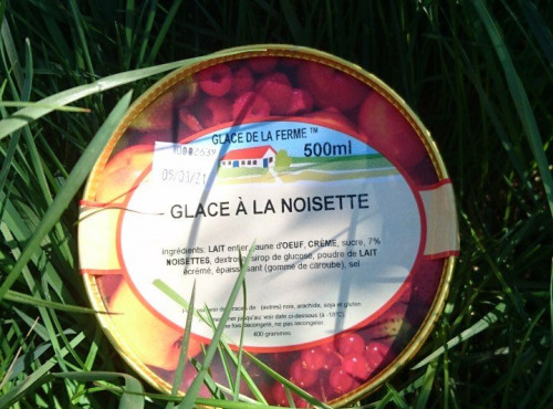 Les Glaces de la Promesse - Glace Noisette - 2,5L