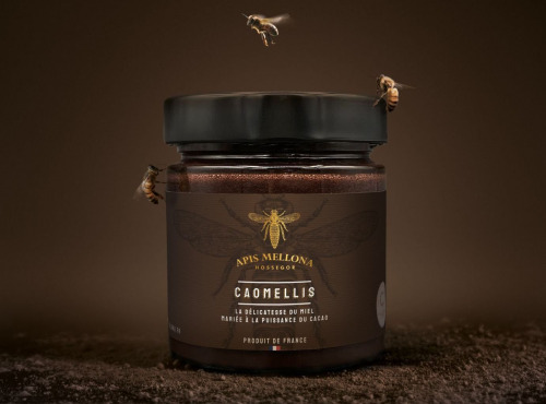Apis Mellona - Miel au chocolat 250g, Caomellis