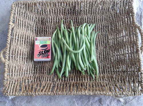 LES JARDINS DE KARINE - Haricot vert pour 2 (250g)