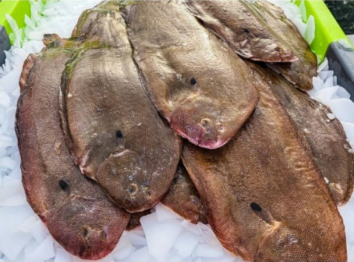 Ocean Frais - Sole vidé 300g/400g x3