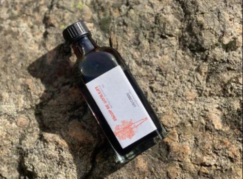 Lou Codou - Sirop de bouleau - 10cl
