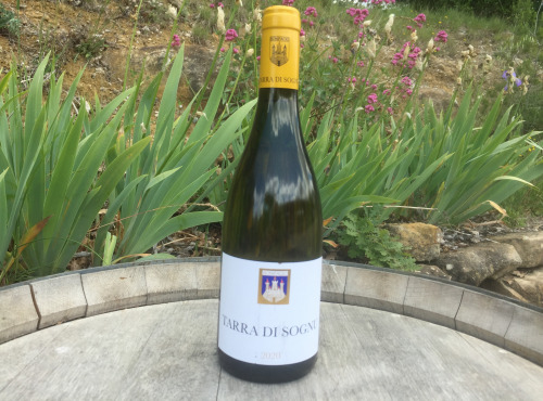 Depuis des Lustres - Comptoir Corse - Clos Canarelli - cuvée Tarra di Sognu - blanc