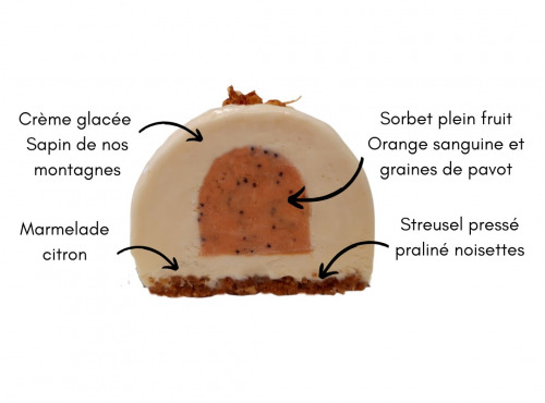 Eclat des cimes - Bûche glacée Sapin, Orange sanguine & Noisettes