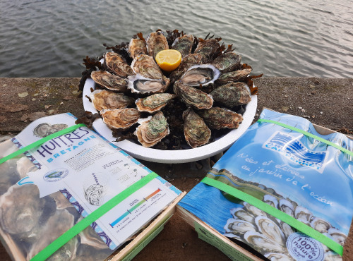 Les Huîtres du Grand Sud - Bourriche 50 Huîtres n°3 – Arcachon & Ria d’Etel