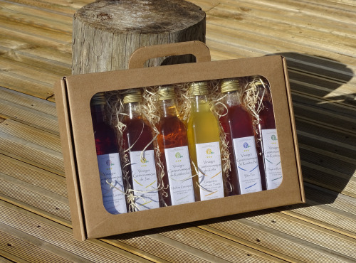 TK Bio - The Kefir et Kombucha Compagnie - Valisette – Coffret Cadeau Vinaigres gastronomiques de Kéfir et Kombucha BIO