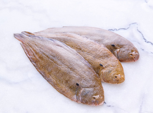 Poissonnerie La Piriacaise - sole 200/300g pièce