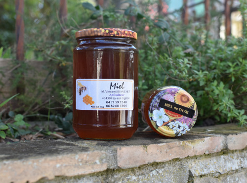 La Truite du Mézenc - Miel de Thym Garrigues - 500g