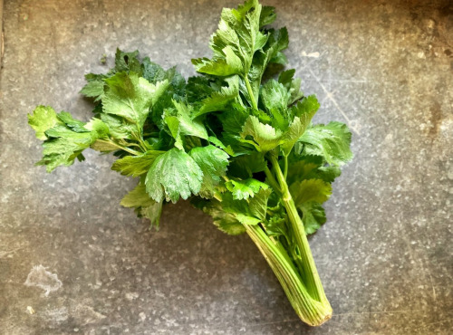 La Ferme d'Artaud - Céleri branche - 1kg